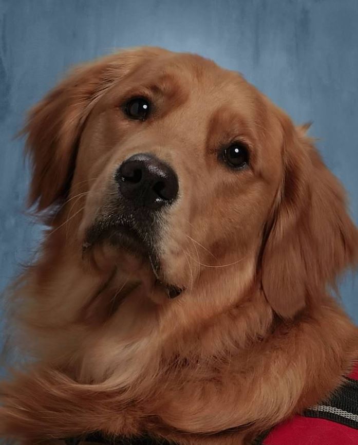  If your child has a SEVERE allergy and/or fear of dogs, please let us know!  